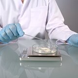 Двойной шпатель, плоский, прямоугольный, из нержавеющей стали