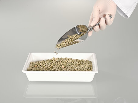 Pelle à aliments en acier inoxydable FoodScoop