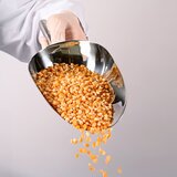 Stainless steel food scoop FoodScoop