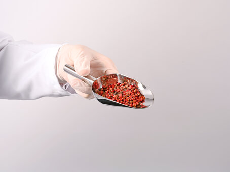 Совок для пищевых продуктов из нержавеющей стали FoodScoop