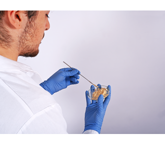 Micro-spatule à poudre carrée/demi-coque, en acier inoxydable