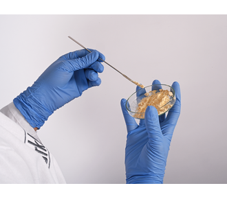 Microespátula para polvo, angular/semi-copa, de acero inoxidable