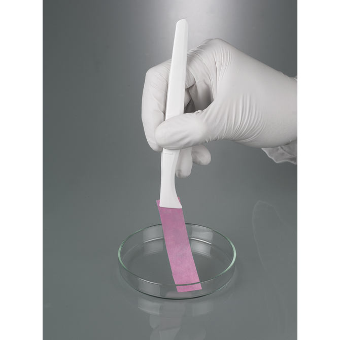 Forceps, disposable, broad tip
