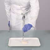 Sample spoon stainless steel