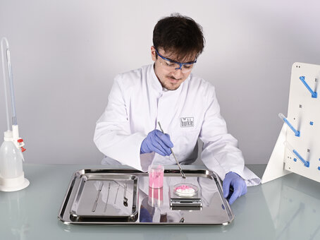 Plateau en acier inoxydable