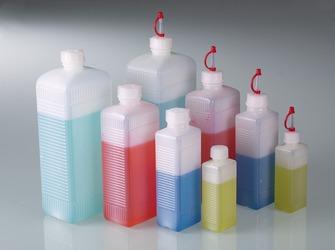 Square bottles with screw lid